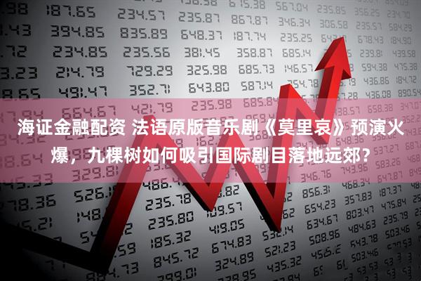 海证金融配资 法语原版音乐剧《莫里哀》预演火爆，九棵树如何吸引国际剧目落地远郊？