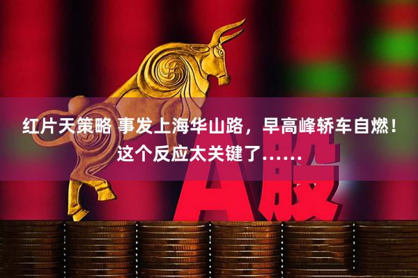 红片天策略 事发上海华山路，早高峰轿车自燃！这个反应太关键了……